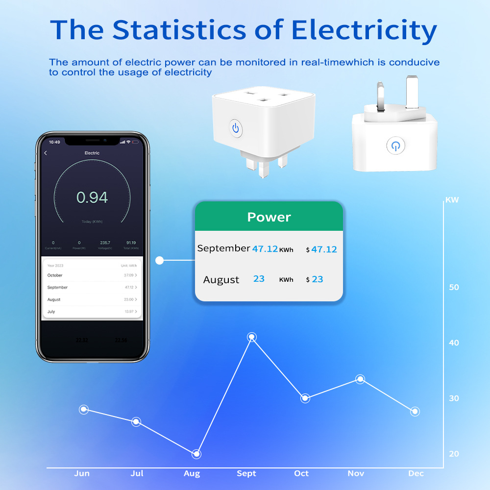 Tuya Smart Socket 16A/20A WiFi - огляд і ціна Travel Accessories Uk